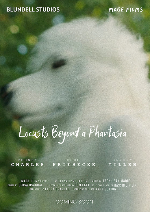 Locals Beyond a Phantasia