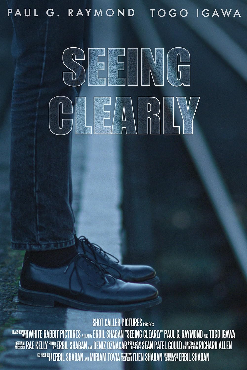 Seeing Clearly