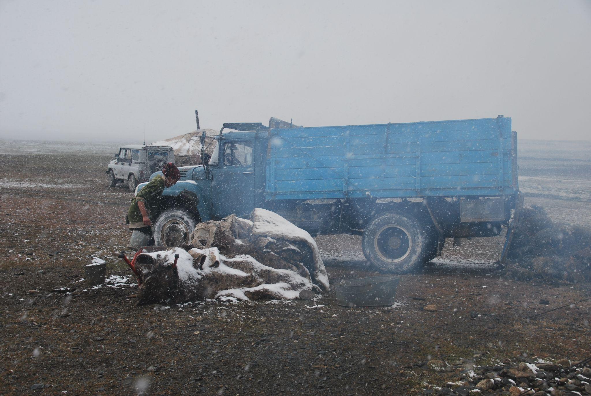 Snowy scene with blue truck
